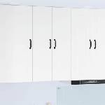vidaXL Панел за съдомиялна с 2 врати KALMAR Бяло 60 x 31 x 100 cm (884784)