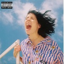 K.Flay ♫ Inside Voices/Outside Voices LP