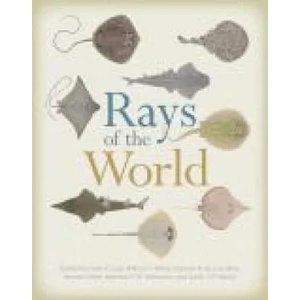 Rays of the World | Gavin J. P. Naylor, Marcelo R. De Carvalho, Peter R. Last (ISBN: 9781501705328)