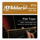 D'addario EFT13