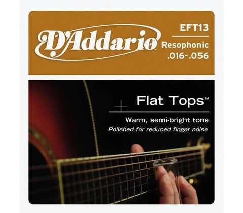 D'addario EFT13