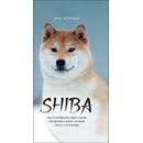 Shiba