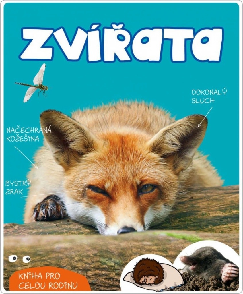 Zvířata