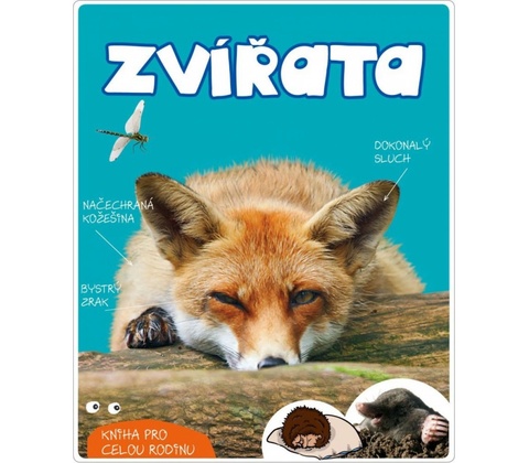 Zvířata