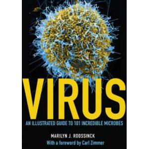 Virus - An Illustrated Guide to 101 Incredible Microbes | Marilyn Roossinck, Carl Zimmer (ISBN: 9780691166964)