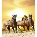 DIMEX ART Флизелинов фототапет по залез слънце 225 x 250 см
