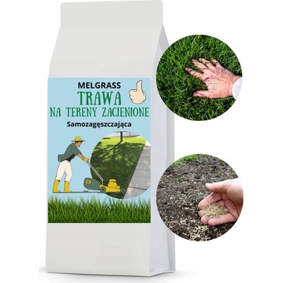 Semena trávy Melgrass pro stinné oblasti 10 kg, 400 m2