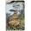 Flame Tree Publishing Angela Harding: Rathlin Hares (Soft Touch Journal) | Flame Tree Publishing
