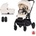 Chipolino Winner 2 in 1