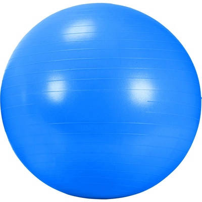 DMA Rehabilitační míč Gym Ball 65 cm