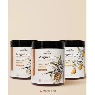 Herbs Energy Magnesium Drink Ananas 2 x 30 dávek + Magnesium Drink Citron 30 dávek