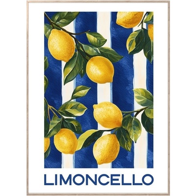 Styler Limoncello obraz barevná
