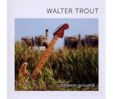 TROUT WALTER: COMMON GROUND CD