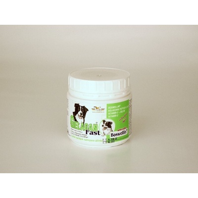 Orling Gelacan Fast 150 g