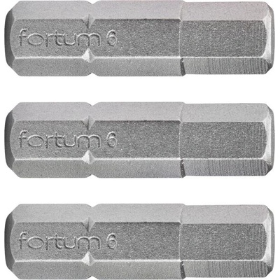Fortum Комплект от 3 шестостенни накрайника FORTUM, H 6 x 25 мм, S2 4741508 (4741508)