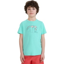 4F JUNIOR-TSHIRT M1917-47S-MINT Zelená