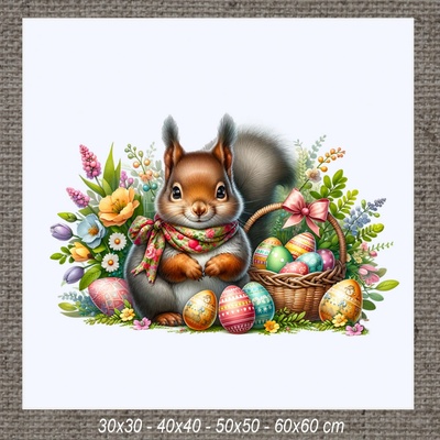 Obraz VEVERIČKA d 50x50 cm