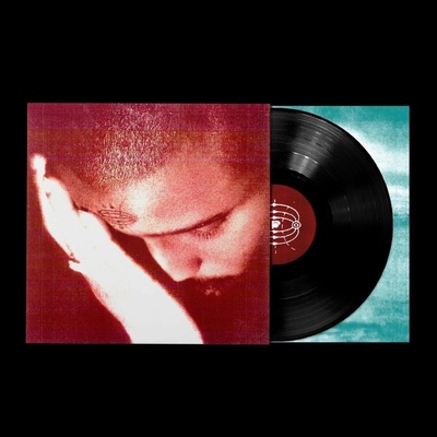 NOURISHED BY TIME - THE PASSIONATE ONES 1 LP