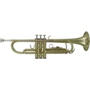 ROY BENSON TR-101