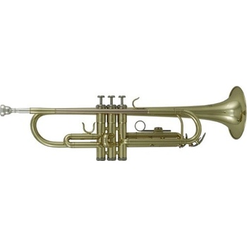 ROY BENSON TR-101