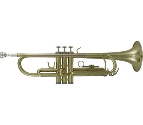 ROY BENSON TR-101