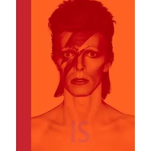 David Bowie Is | Victoria Broackes (2013)
