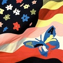 Avalanches - Wildflower CD