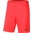 Nike Team