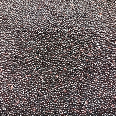 Microgreens Červený amarant na mikrozeleninu 50 g