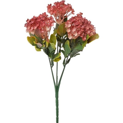 ZELEŇ VIBURNUM ČERVENÉ 30CM