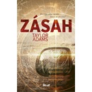 Zásah