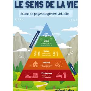 SENS DE VIE ETUDE DE PSYCHOLOGIE INDIVID | ADLER ALFRED (2024)