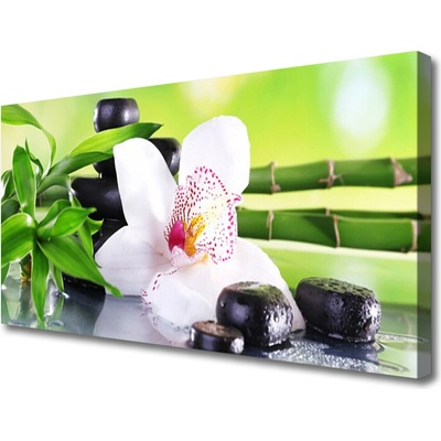 Obraz Canvas Orchidea kamene zen bambus 100x50 cm