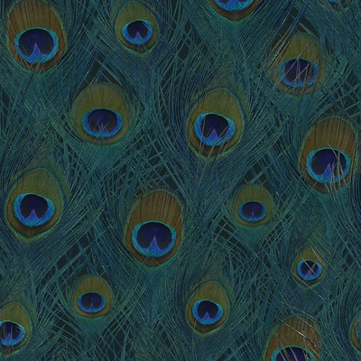 Origin 357245 Vliesová fototapeta vzor pávie perá Luxury Skins rozmery 1,5 x 2 79 m
