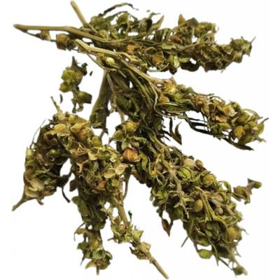 Darka Konopný čaj CBD 250 g