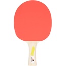 Pro Touch Pro 2000