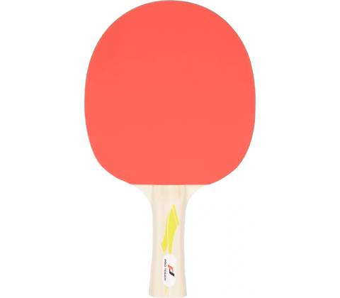 Pro Touch Pro 2000