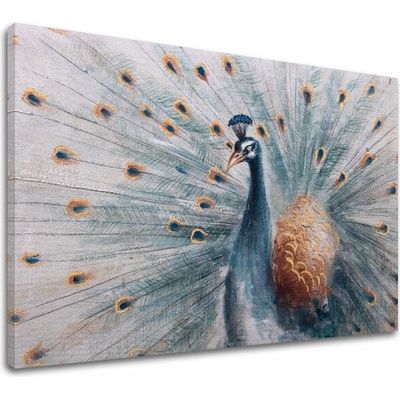Obraz na plátně PAV 1 díl - 60x40 cm