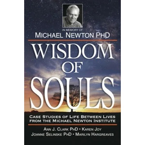 Wisdom of Souls | The Newton Institute (ISBN: 9780738758343)