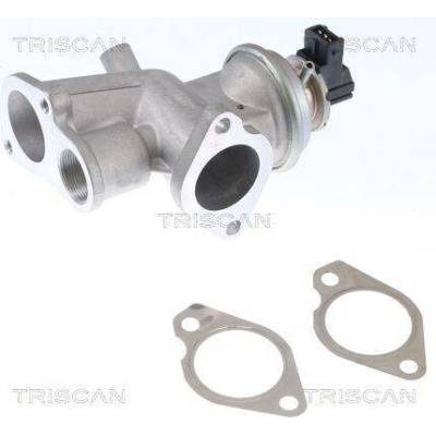 AGR-Ventil TRISCAN 8813 24203 (881324203)