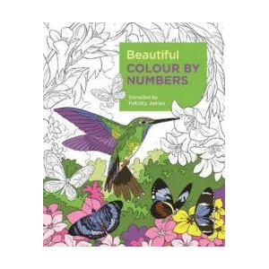 Beautiful Colour by Numbers | Arcturus Publishing (ISBN: 9781788887687)