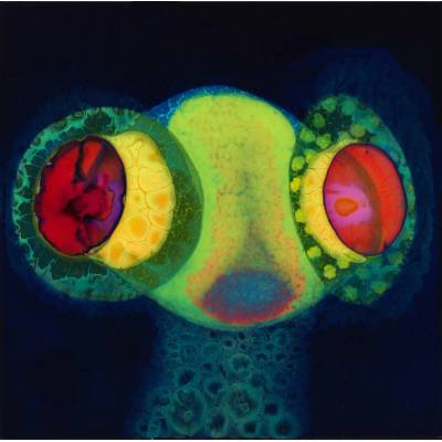 Osees: Sorcs 80 LP