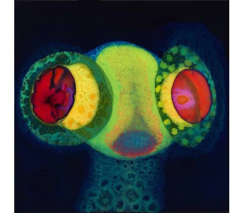 Osees: Sorcs 80 LP