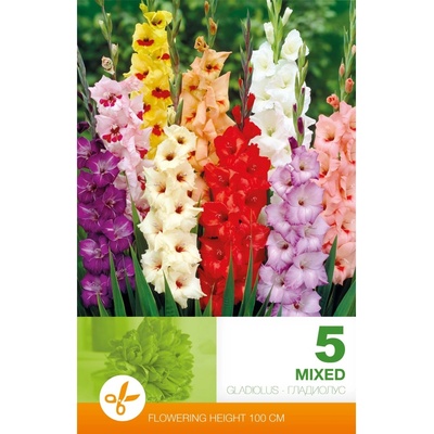 Seklos Гладиоли Микс - 5 бр луковици