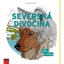 Severská divočina