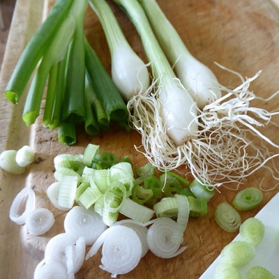 BIO Cibule jarní Bílý Lisabon - Allium cepa - bio semena cibule - 100 ks