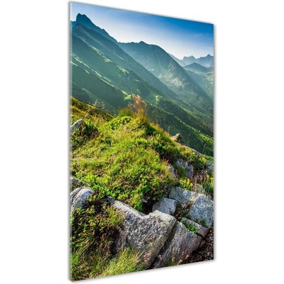 Vertikálny fotoobraz na skle Hory letom 50x100 cm