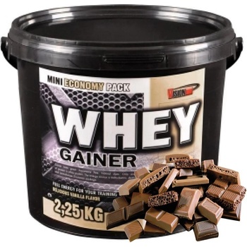 Vision Nutrition Whey Gainer 2250 g