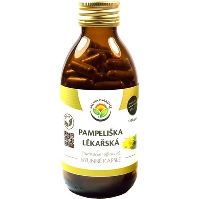 Salvia Paradise Pampeliška lékařská 60 kapsúl