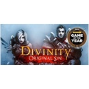 Hry na PC Divinity Original Sin